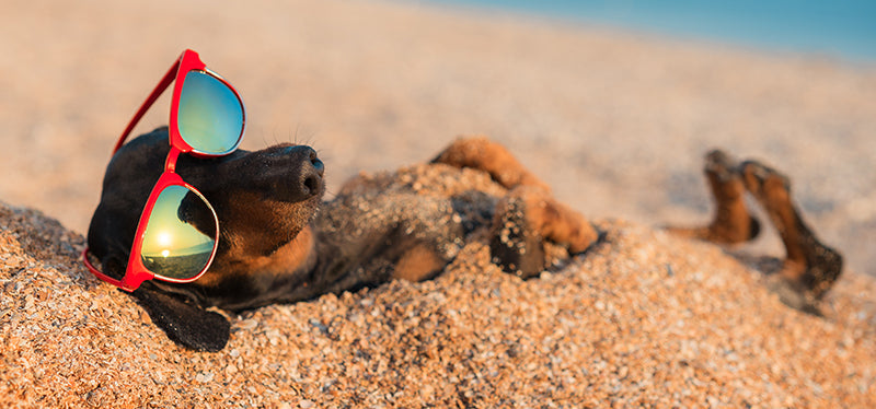 Is bamboo UV-protective?