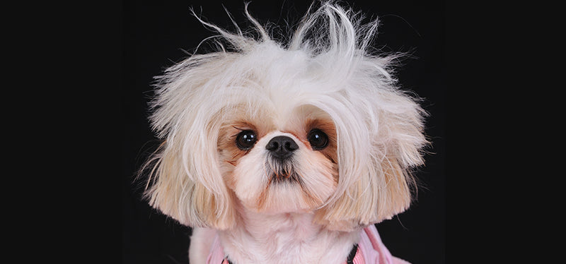 Be honest, how do I look?