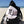 Cargar imagen en el visor de la galería, #Bagsy Location: Langs Beach NZ | The Bold Yes / No re-usable tote bag | gym bag | beach bag | shopping bag | Free with every Hoodie | #sayitinbold @BoldorNaked shop online www.boldornaked.com
