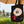Load image into Gallery viewer, #Bagsy Location: Dubai | The Bold Yes / No re-usable tote bag | gym bag | beach bag | shopping bag | Free with every Hoodie | #sayitinbold  @BoldorNaked  shop online www.boldornaked.com
